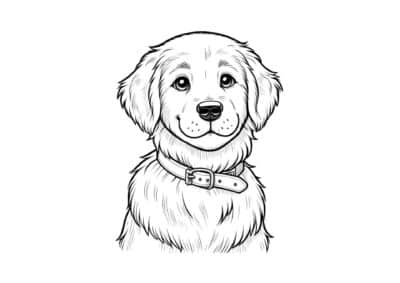 Tegning af en hund uden ansigt.