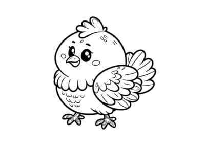 tegning af kylling 1