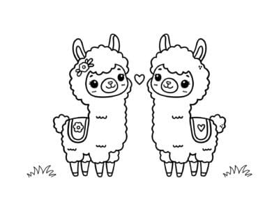 tegning af lama 8