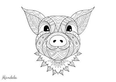mandala tegning 114