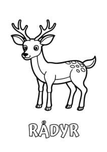 dyr med fem bogstaver raadyr 1