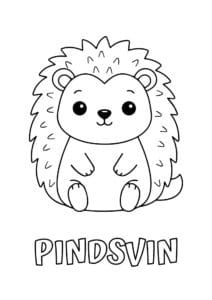 dyr med seks plus bogstaver pindsvin 1