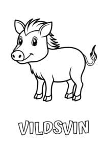 dyr med seks plus bogstaver vildsvin 1
