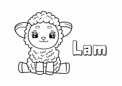 stav til lam 1
