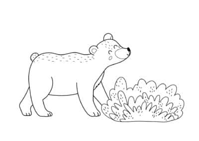 tegning af bjoern 3