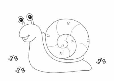 tegning af snegl 1