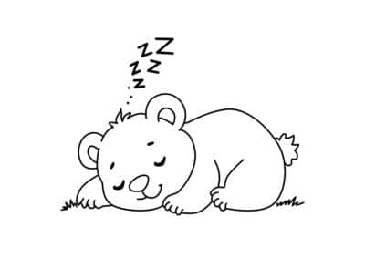 tegning af bamse 42