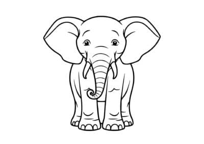 tegning af elefant 13
