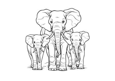 tegning af elefant 6