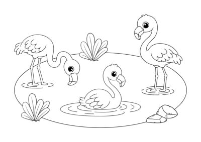 tegning af flamingo 14