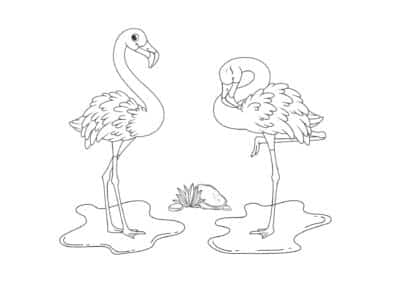 tegning af flamingo 3
