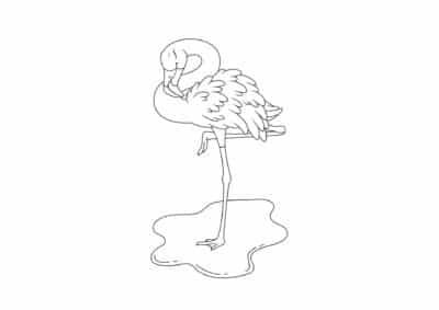 tegning af flamingo 5