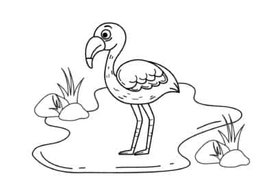 tegning af flamingo 6