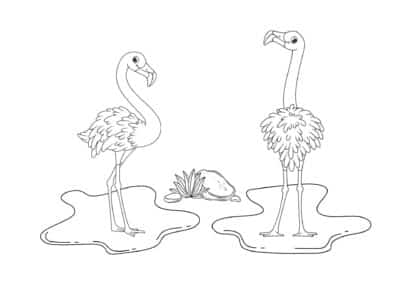 tegning af flamingo 8