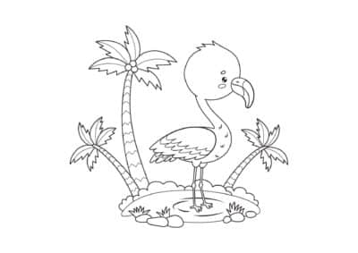 tegning af flamingo 9