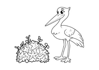 tegning af stork 1