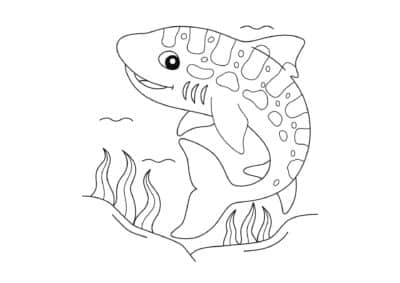 tegning af haj 6