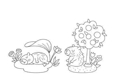tegning af capybara 5