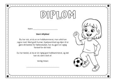 diplom god holdkammerat 2